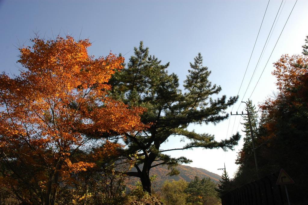 Hotel Namhae Neuhaus Esterno foto